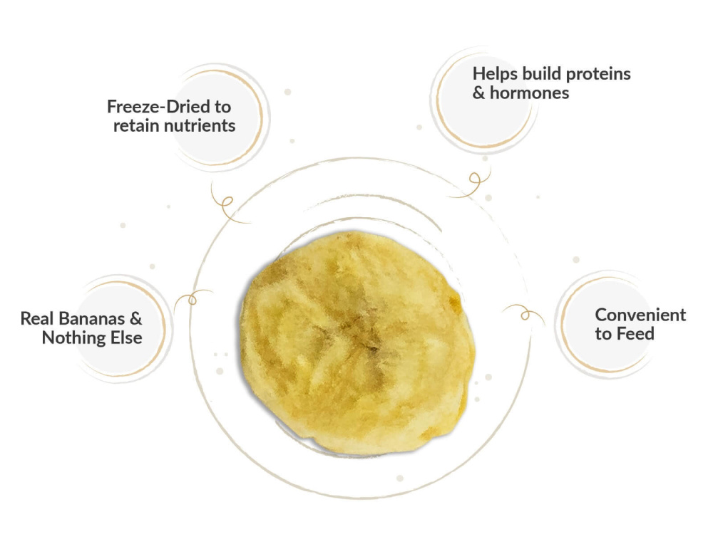 dogsee_crunch_banana_keypoints