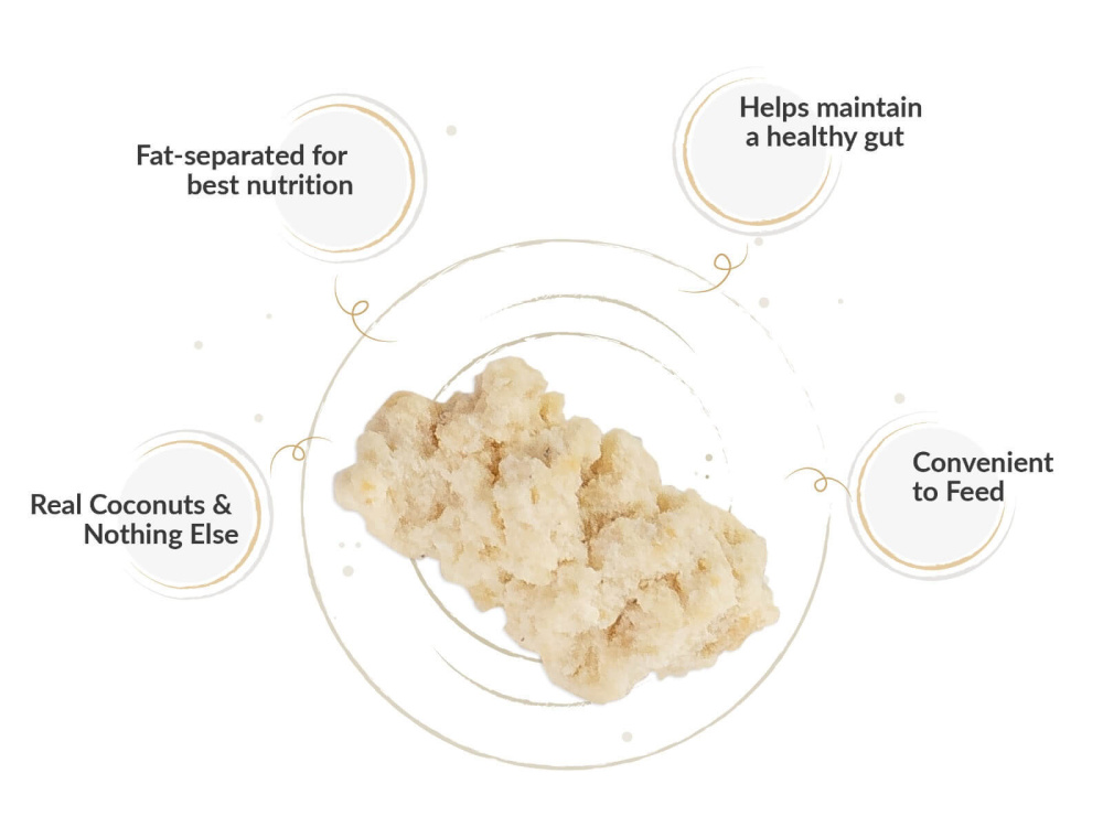dogsee_crunch_coconut_keypoints