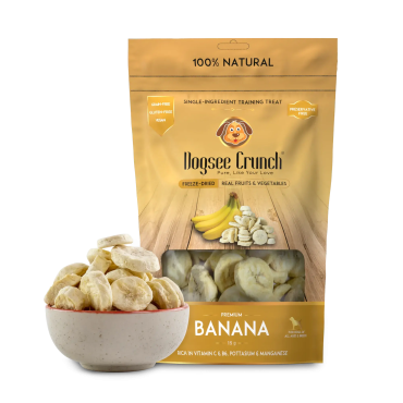 dogsee_crunch_banana_15g